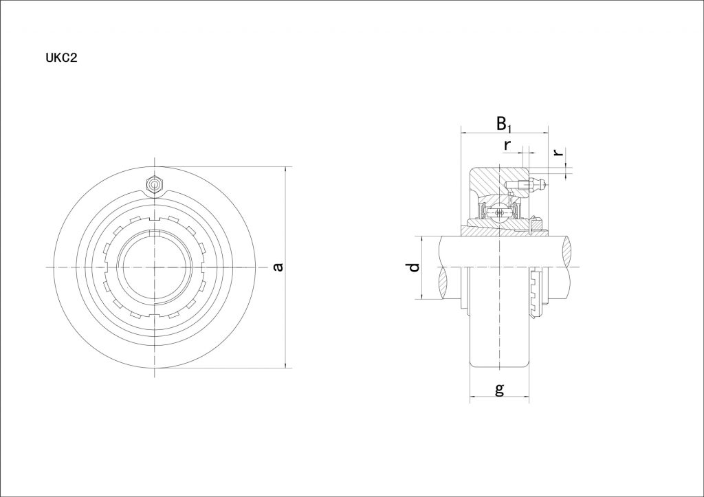 schema supporti ukc