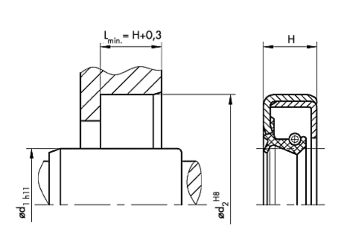 146,05X171,5X14,28 CS NBR Paraolio - immagine 2