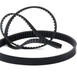 CINGHIA BX53  Dentata  Li 1346