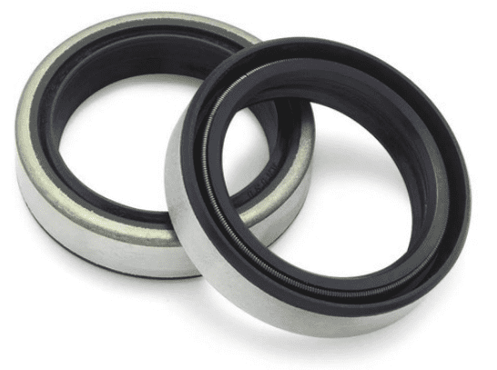 20X47X10 B NBR Paraolio