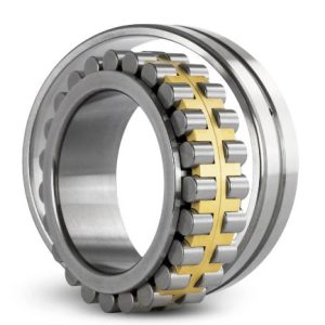 CUSCINETTI A DOPPI RULLI CILINDRICI