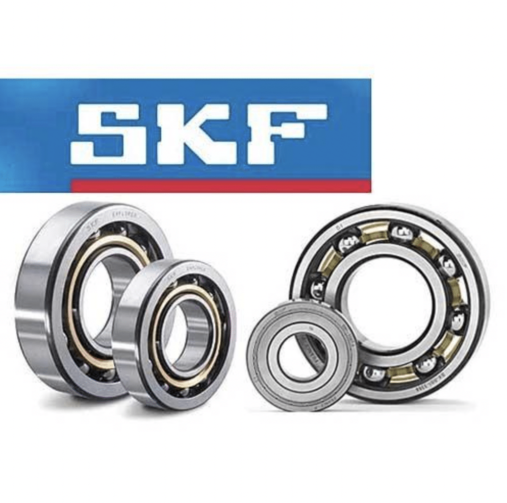 Cuscinetti skf