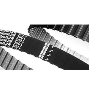 CINGHIE SINCRONE IN POLLICI