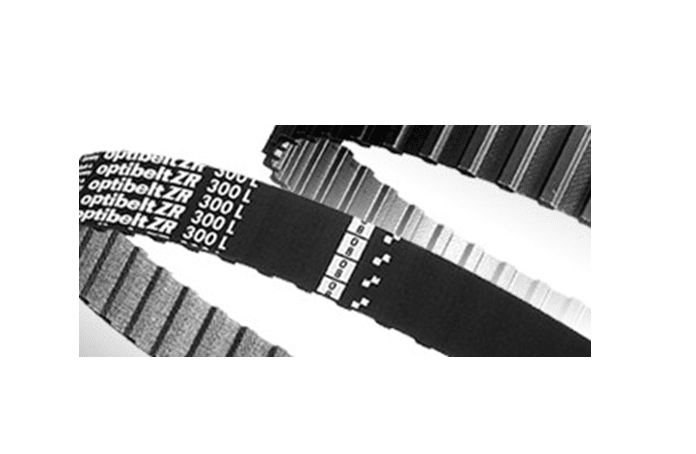CINGHIA 300 L 050 ZR - OPTIBELT