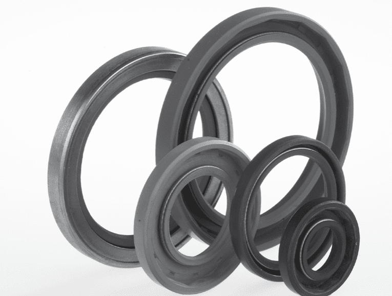 paraoli anelli di tenuta standard