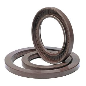 PARAOLI IN VITON (FPM)